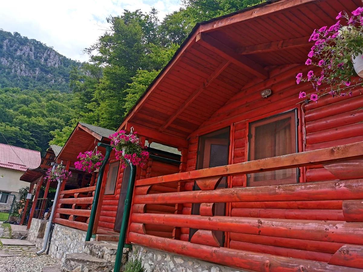 Casa Beasarah. Vila Dubova Exterior foto